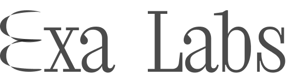 Exa Labs